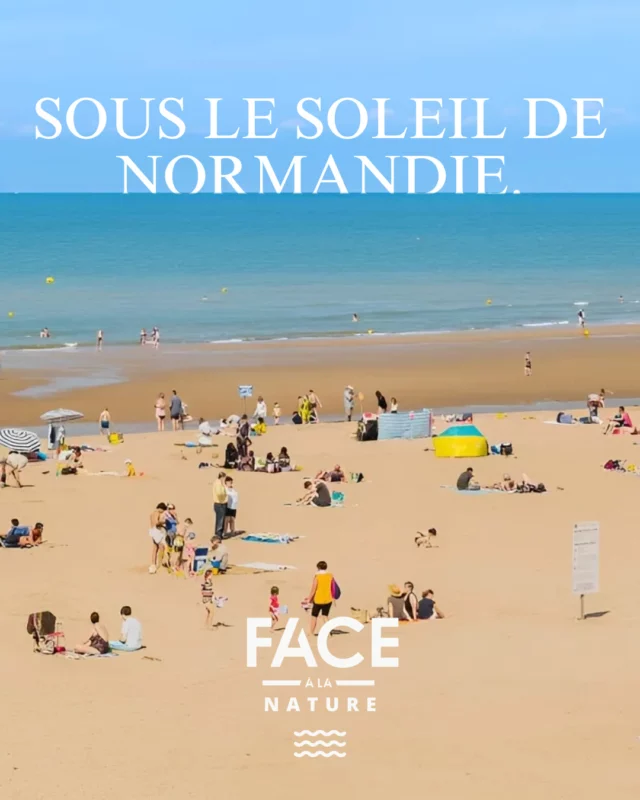 🌞 Quand la Normandie brille sous le soleil... 🌞  À Merville-Franceville, chaque rayon de soleil sublime encore plus notre littoral.
Face à la Mer, c’est l’endroit rêvé pour savourer un petit-déjeuner en terrasse, les pieds presque dans le sable, et laisser le soleil s'occuper du reste de votre journée.  📸 Que ce soit pour une balade matinale sur la plage ou un coucher de soleil inoubliable, ici, la lumière est magique, unique... et totalement dépaysante !  #FaceALaMer #Normandie #EscapadeNormande #MervilleFranceville #Plage #Soleil #CoucherDeSoleil #VacancesNormandie
