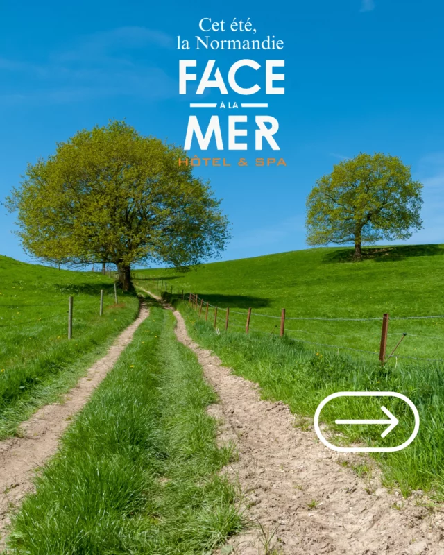 🎒 Suivez le guide : 5 idées d’escapades à vivre cet été depuis l’hôtel 🌊  📍 Vous posez vos valises à Merville-Franceville ? Voici quelques trésors normands à explorer à moins d’1h30 de route, pour faire de votre séjour un condensé d’émotions et de découvertes.  1️⃣ Les falaises d'Étretat
Un décor de carte postale pour vos randonnées ou vos pauses contemplation.  2️⃣ Le charme fleuri de Veules-les-Roses
Un des plus beaux villages de France, entre rivière la plus courte du pays et ambiance bucolique.  3️⃣ La plage et les falaises de Fécamp
Une lumière unique, des goélands facétieux et un petit air de bout du monde.  4️⃣ Le vieux pont de Vernon
Un joyau médiéval sur la Seine, à deux pas de Giverny, à ne pas manquer.  5️⃣ Les chemins creux du Pays d’Auge
Là où la Normandie se fait verte, vallonnée, silencieuse… idéale pour une déconnexion totale.  🌿 À vivre à deux, en famille ou entre amis, avec l’Hôtel & Spa Face à la Mer comme cocon entre chaque escapade.  Et vous, laquelle vous tente le plus ? 💬  #FaceÀLaMer #NormandieTourisme #CetÉtéEnNormandie #SuivezLeGuide #EscapadeNormande #FALMExpérience #VoyageLocal #SlowTourisme #HôtelDeCharme